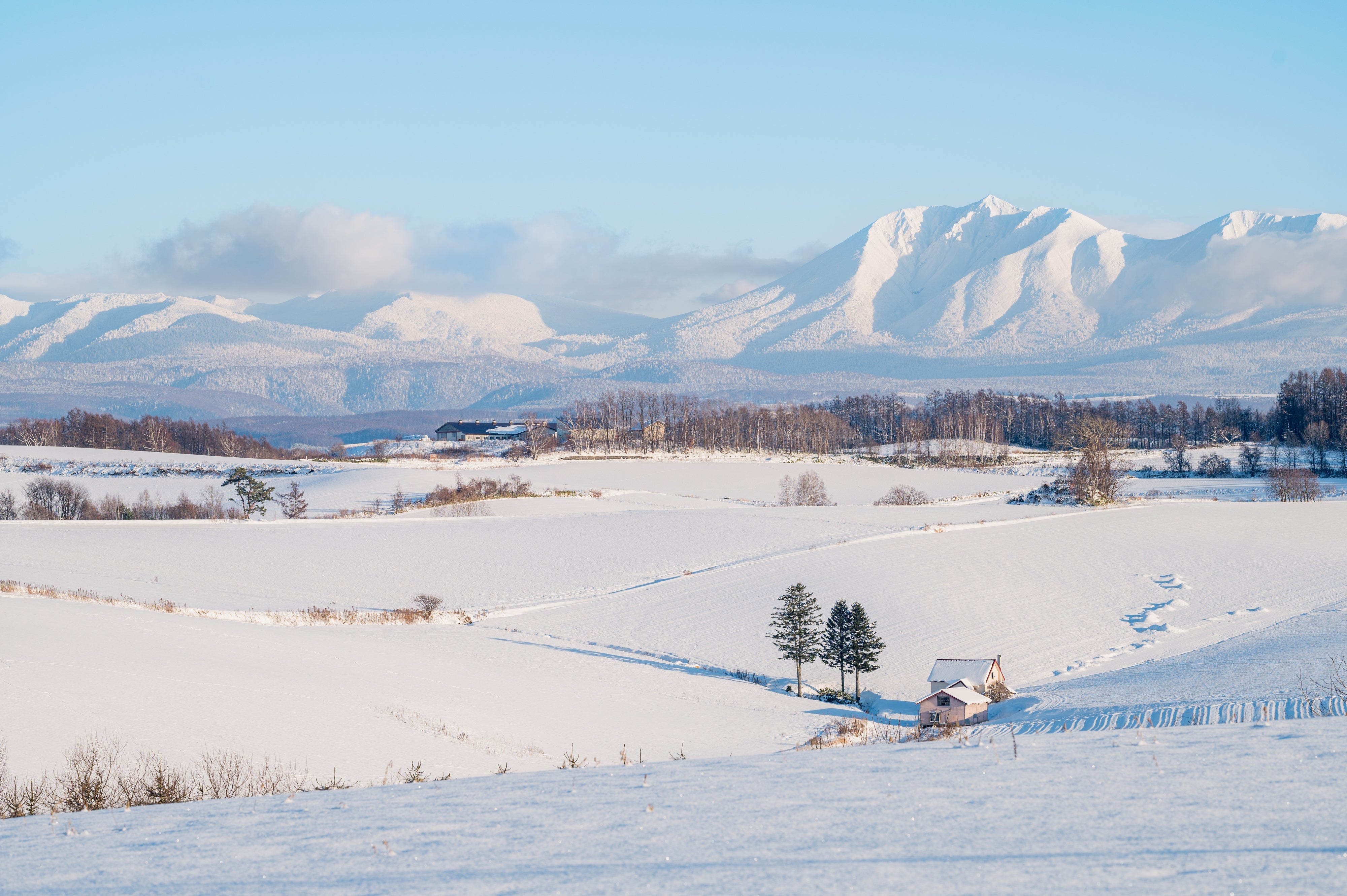 ぽっぽ便りvol.5