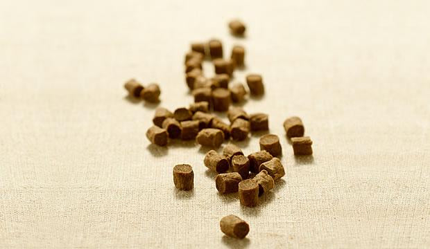 獣医と作った総合栄養食