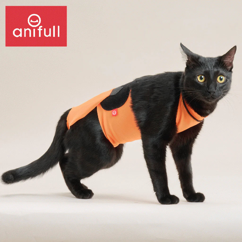 〈猫用〉anifullキズぐちエプロン