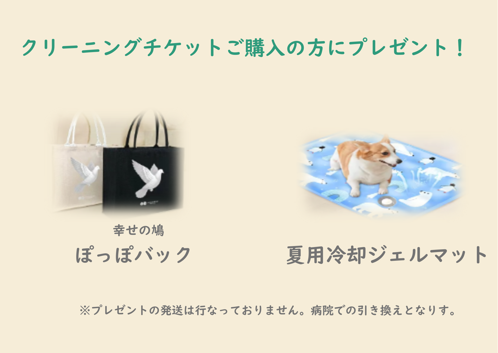 アウトドア派 犬Lightちゃんカラダクリーニングチケット 2026