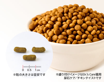 【ドクターズケア】<猫用>ストルバイトケア スターター