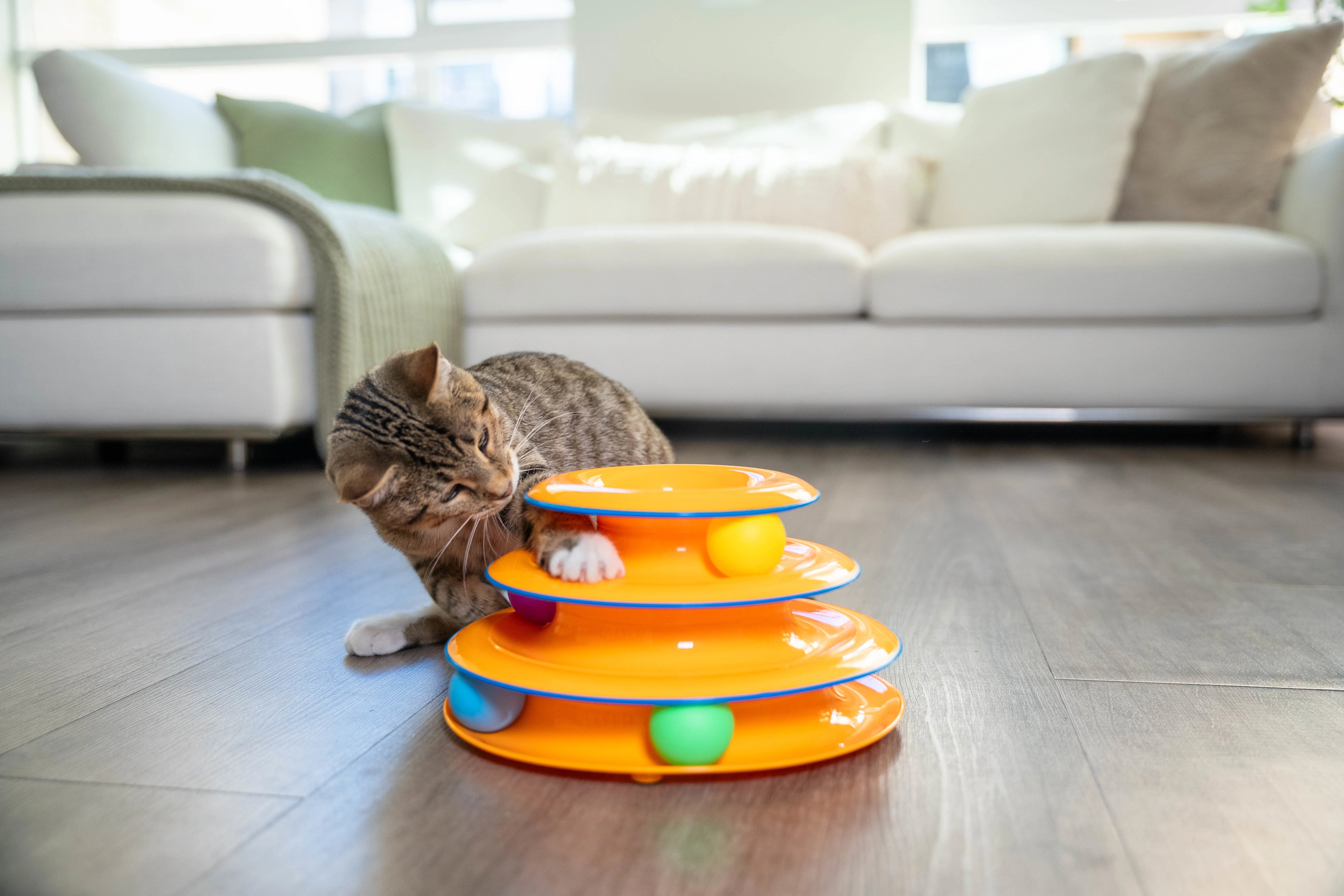 【DADWAYPET】DXタワーオブ・トラックス