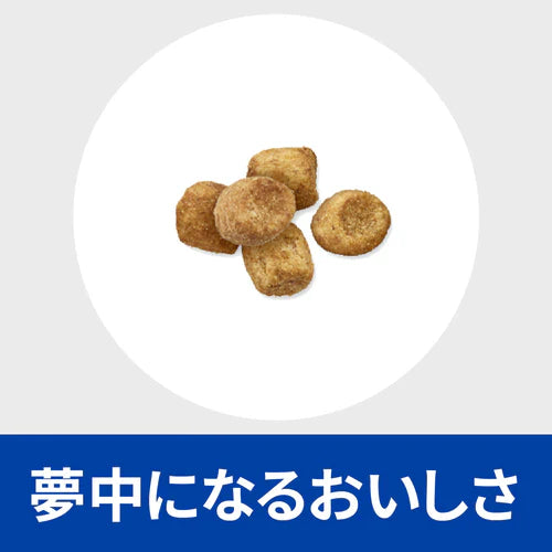【ヒルズ】〈猫用〉r/d ドライ