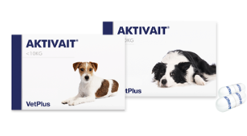 AKTIVAIT アクティベート 中型・大型犬用　60カプセル　1箱 アクティベート】〈犬用〉60カプセル入り