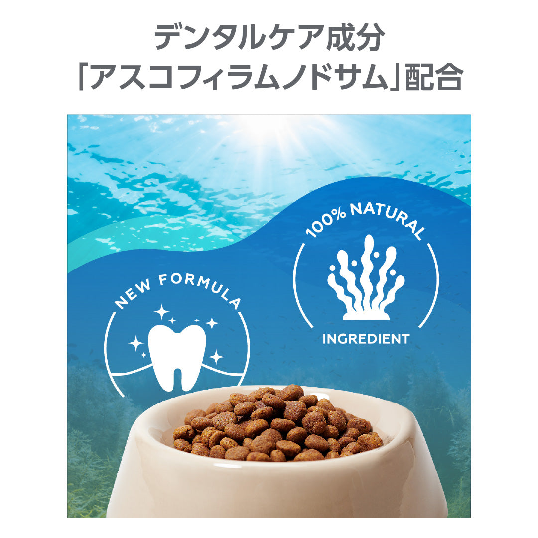 【ビルバック】〈猫用〉シニアキャット 1.5kg