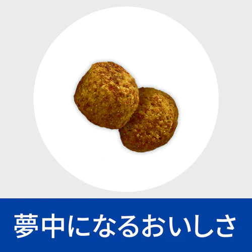 【ヒルズ】〈犬用〉 r/d ドライ