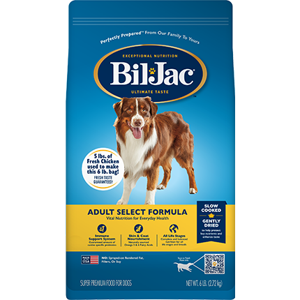 【ビルジャック】〈犬用〉セレクトアダルト 成犬用