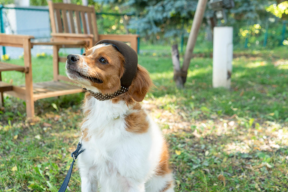 【てとて】ヘッドギア