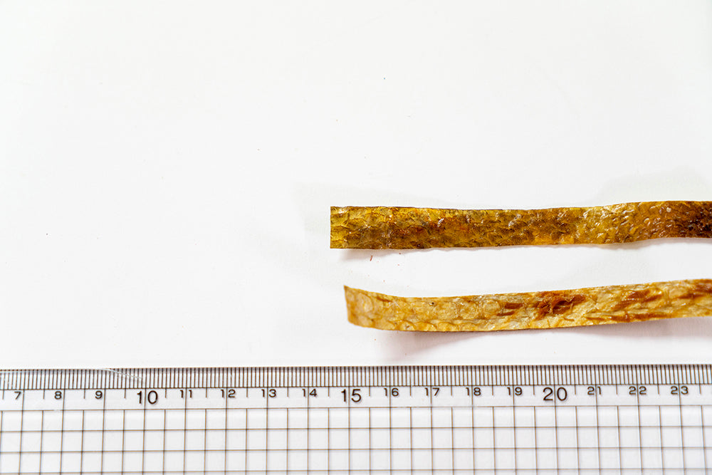 【てとて】〈犬猫用〉たもぎdip鮭皮スティック 25g