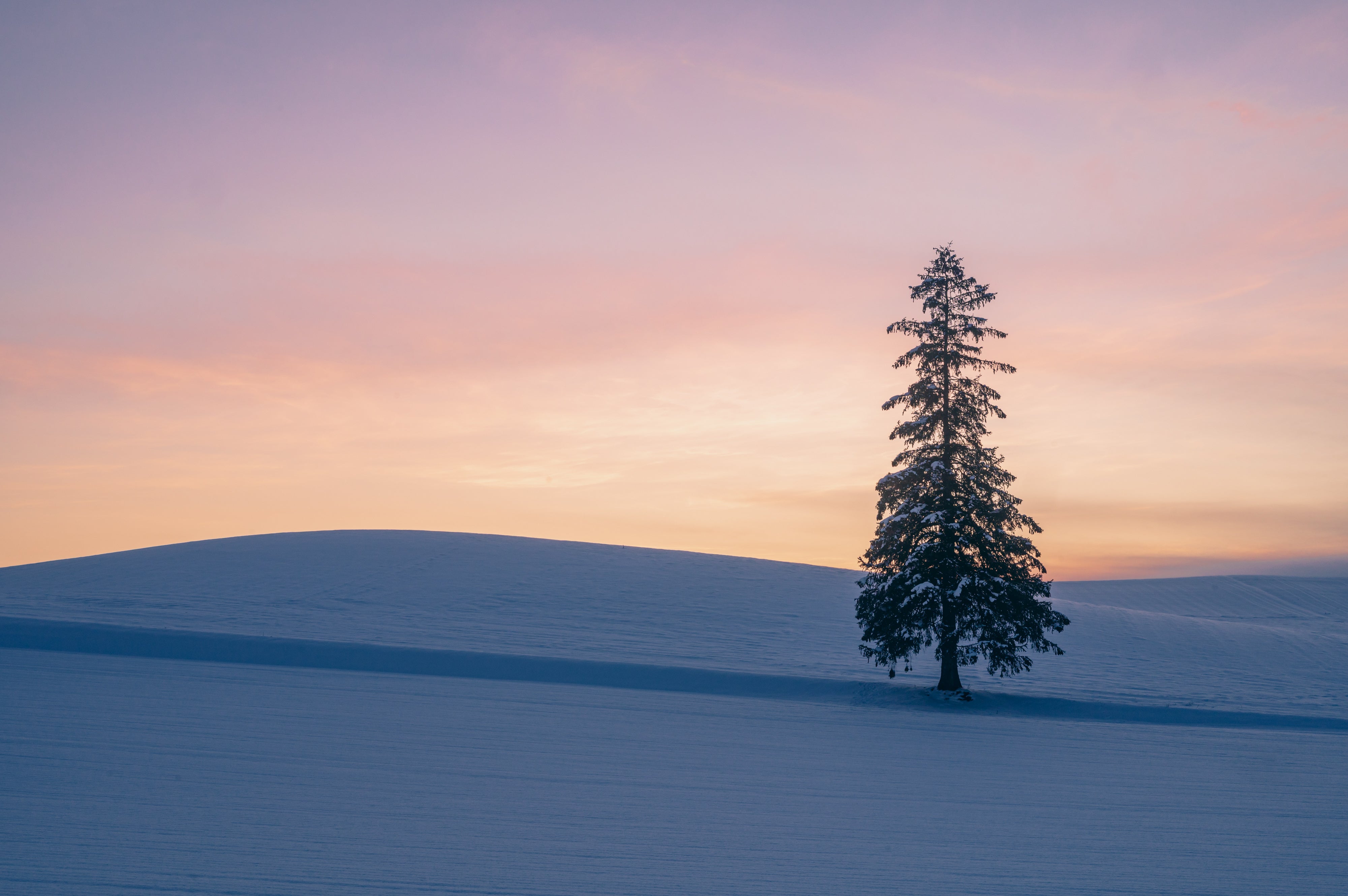 ぽっぽ便りvol.4