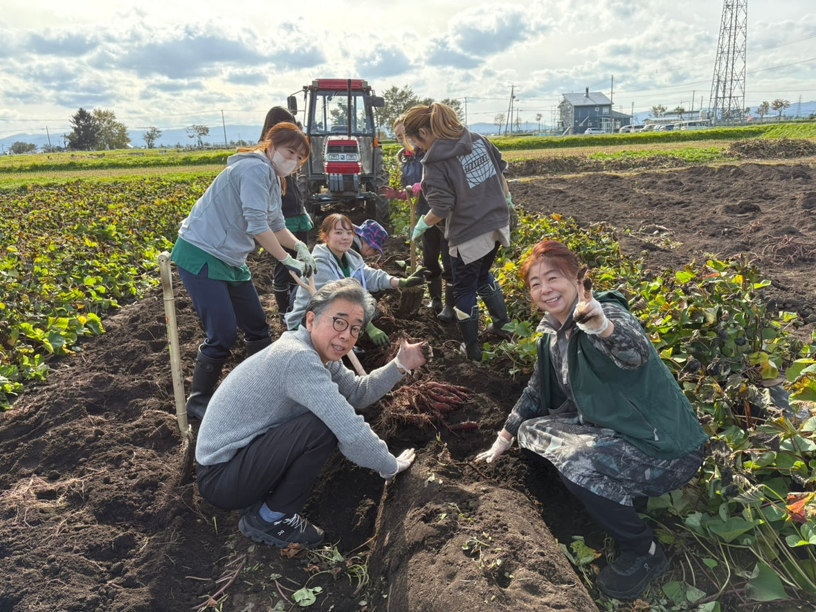 ぽっぽ便りvol.1〜みんなで育てた秋のおいもがハルニレぽっぽに〜