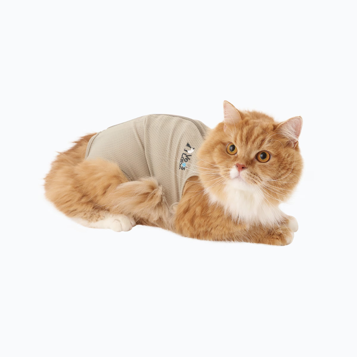 【Vet’s Labo】猫用　ベッツウェア　グレージュ　M