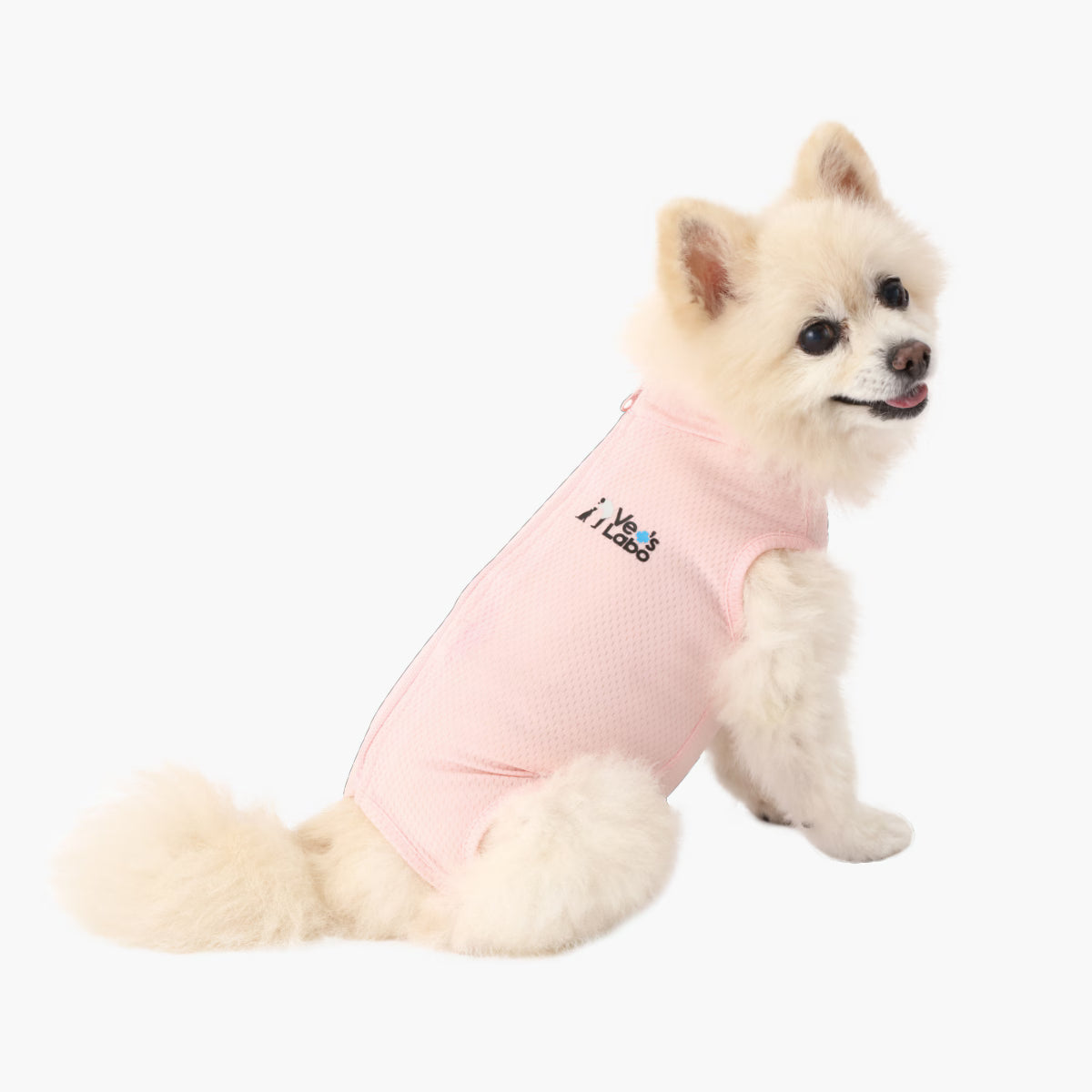 【Vet’s Labo】犬用　ベッツウェア　女の子用　ピンク　S