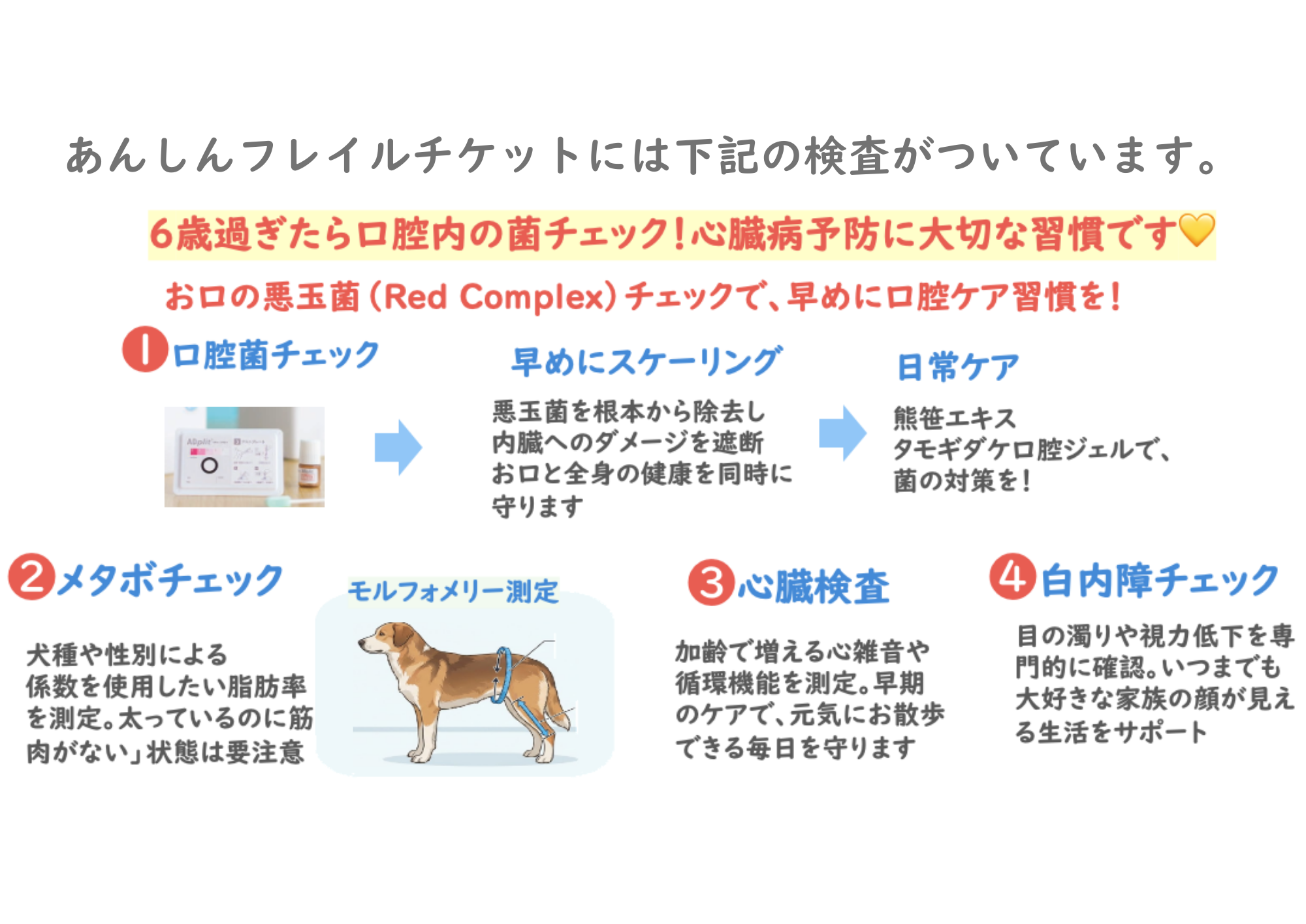 【早割】2026インドア派 犬Bestちゃんカラダクリーニング　あんしんフレイルチケット