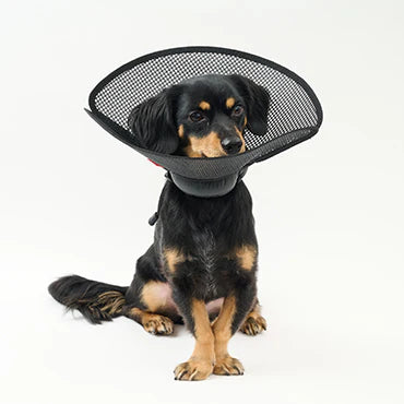 〈犬猫用〉anifull ちょっとだけだカラー　[エリザベスカラー]