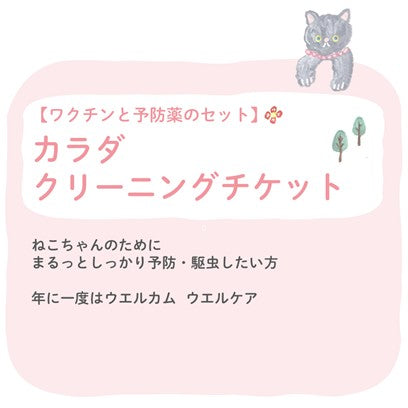 ねこちゃんカラダクリーニングチケット 2025