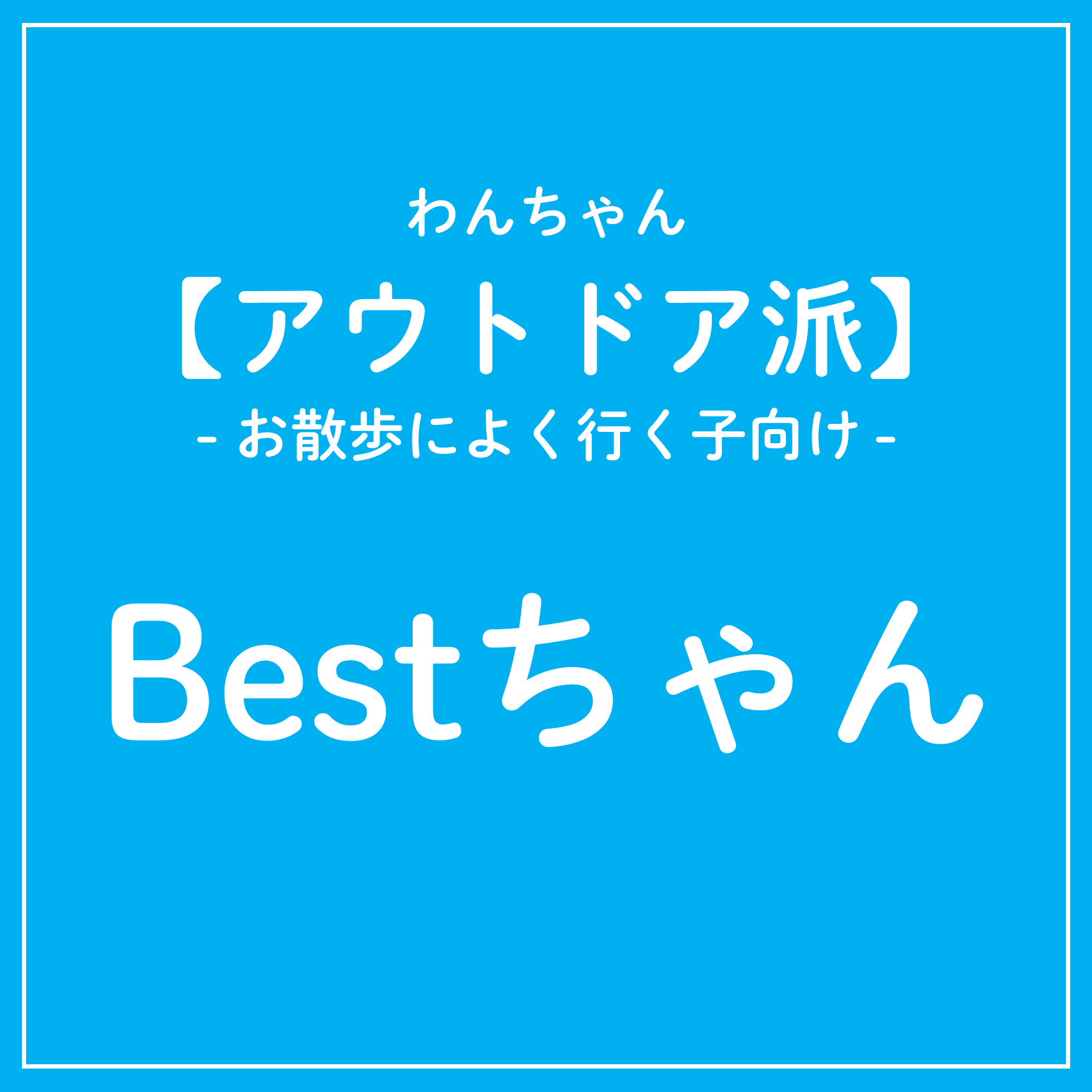 アウトドア派 犬Bestちゃんカラダクリーニングチケット 2026