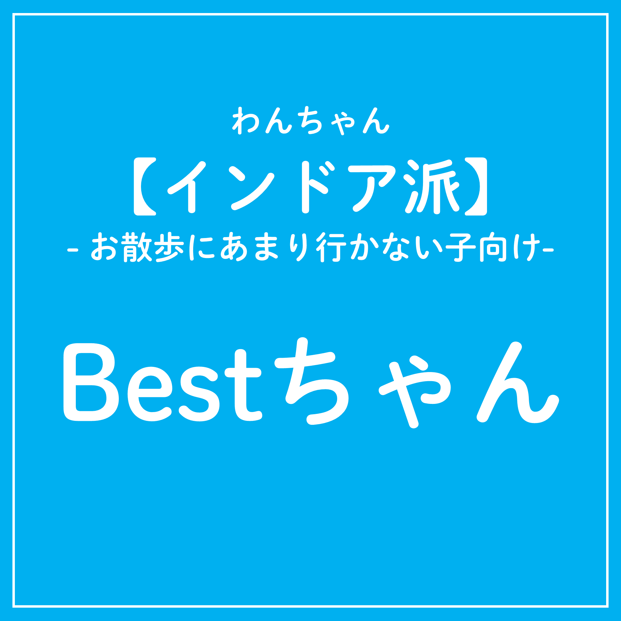 【早割】インドア派 犬Bestちゃんカラダクリーニングチケット 2025