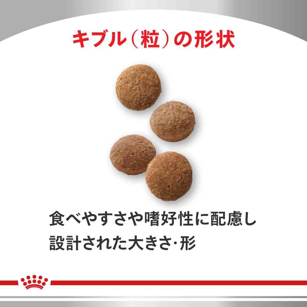 【ロイヤルカナン】〈猫用〉 ユリナリーS/O + CLT+満腹感サポート