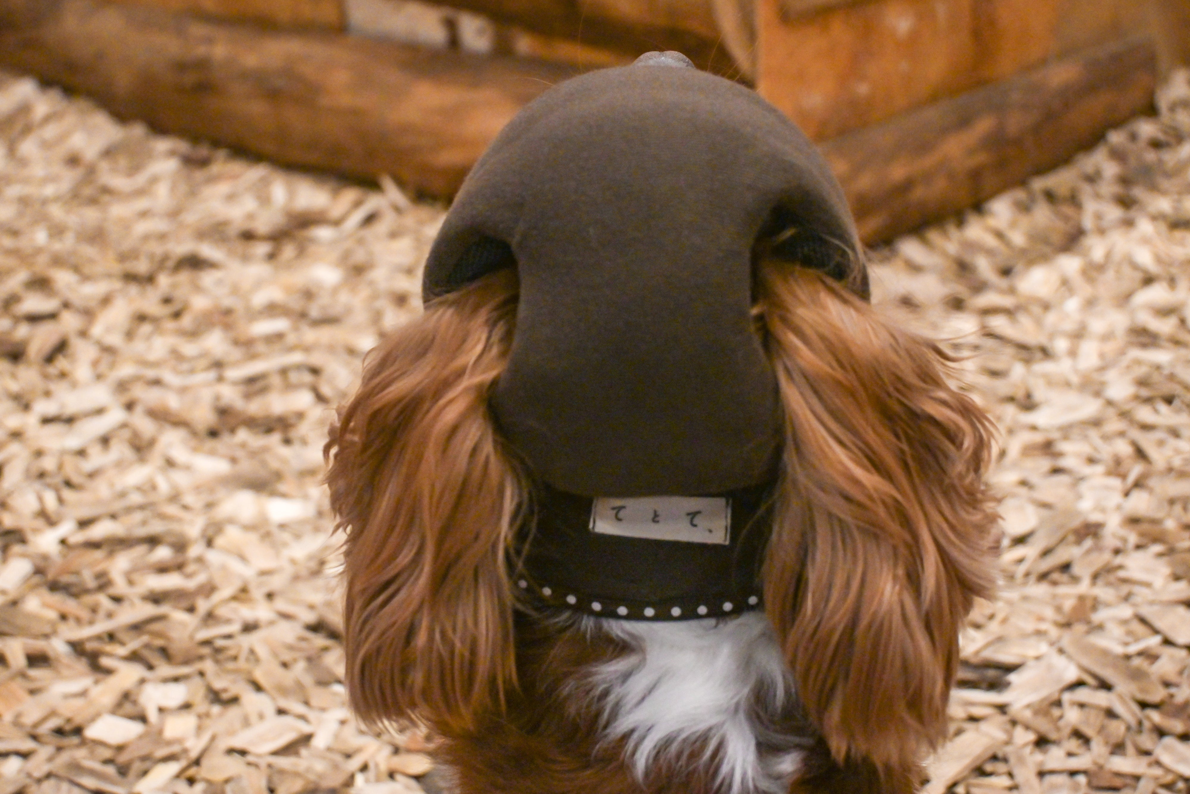 【てとて】NEWヘッドギア　ズレ防止タイプ