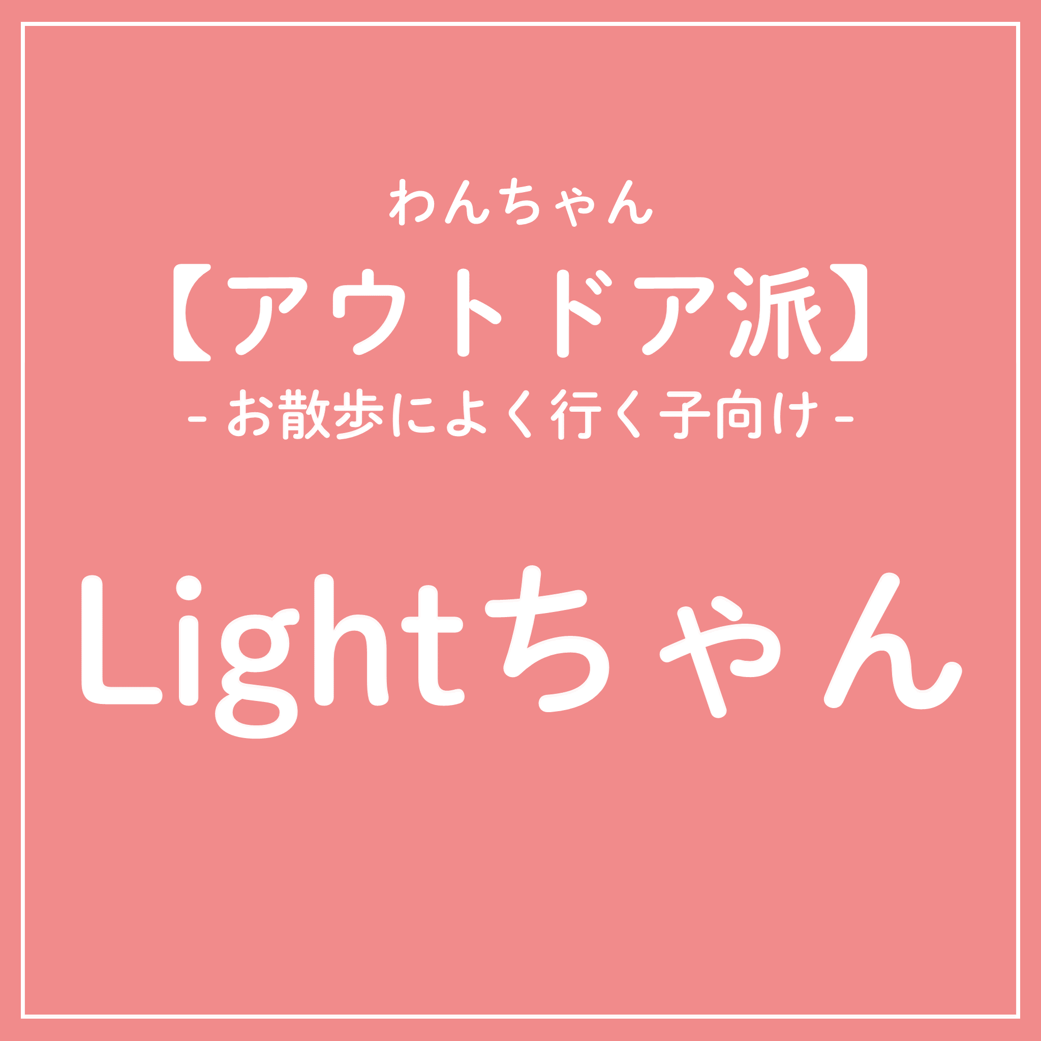 【早割】アウトドア派 犬Lightちゃんカラダクリーニングチケット 2025